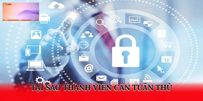 Tại sao thành viên cần tuân thủ