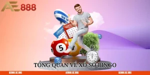Tổng quan về xổ số Bingo 